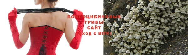 спайс Болотное