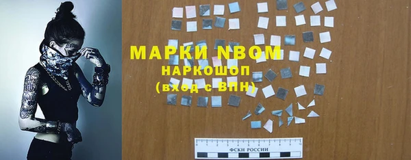 стаф Новозыбков