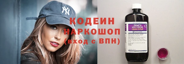 стаф Новозыбков
