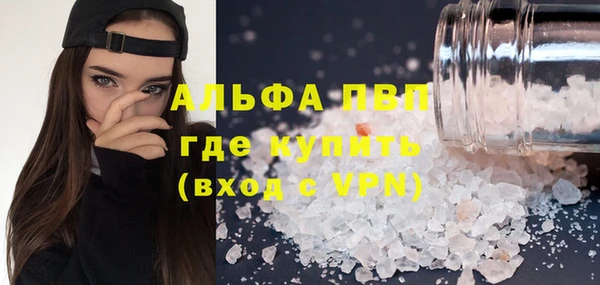 стаф Новозыбков