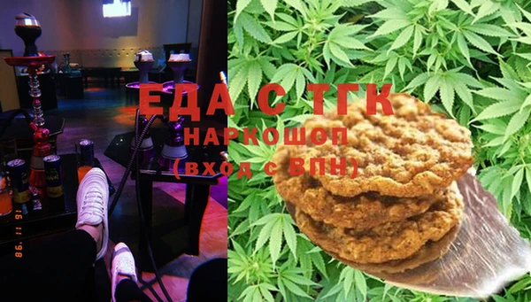 стаф Новозыбков