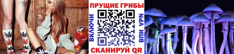 Галлюциногенные грибы мухоморы  цена   Рыльск 